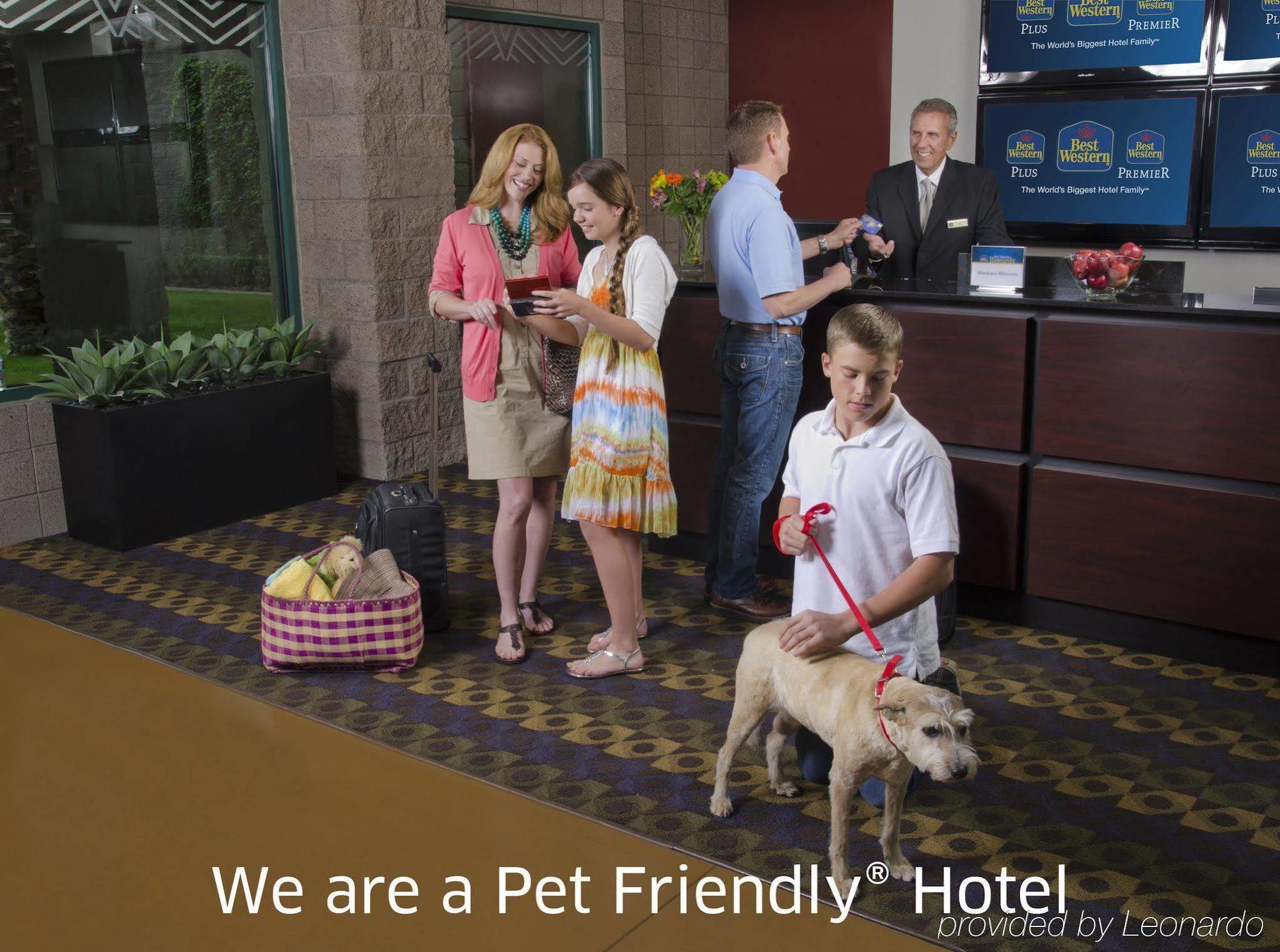 Best Western Socorro Hotel & Suites Ngoại thất bức ảnh